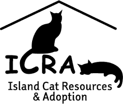 Island Cat Resources & Adoption