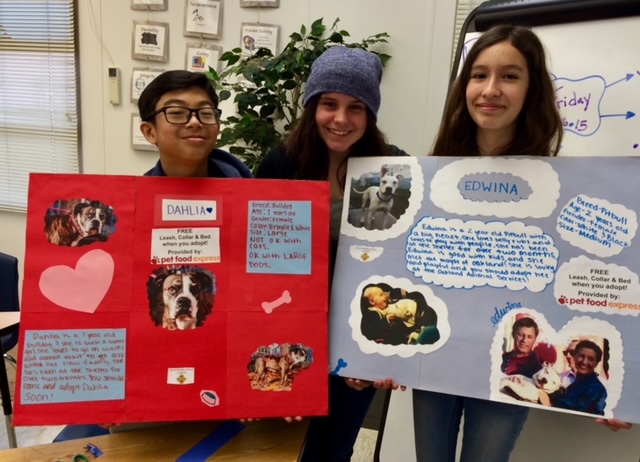 Middle School adoption poster project for Oakland Animal Services (OAS)