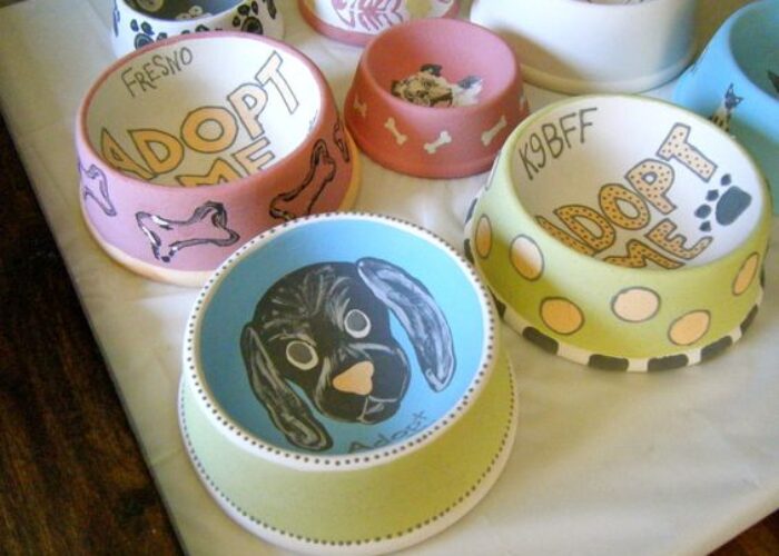 Erica and Friends dog bowls for shelter animals project