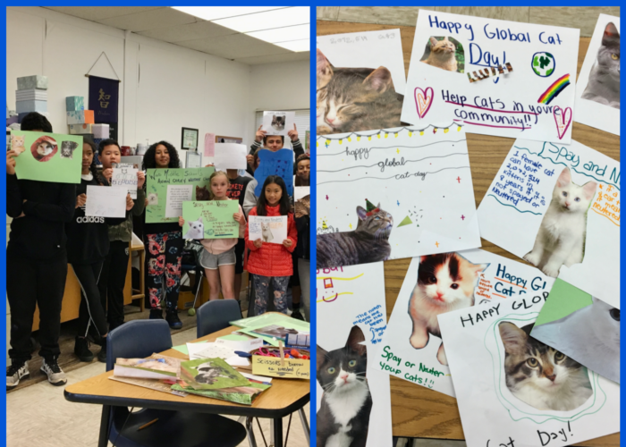 Global Cat Day school project to help cats