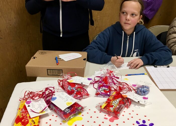 Olive and Friends school Valentines Fundraising Project for FAAS animal shelter