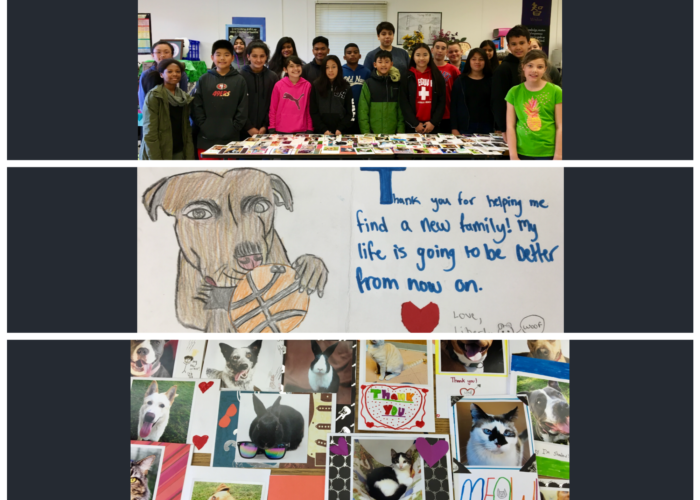 students made cards at Wood Middle School for animal shelter volunteers as a project