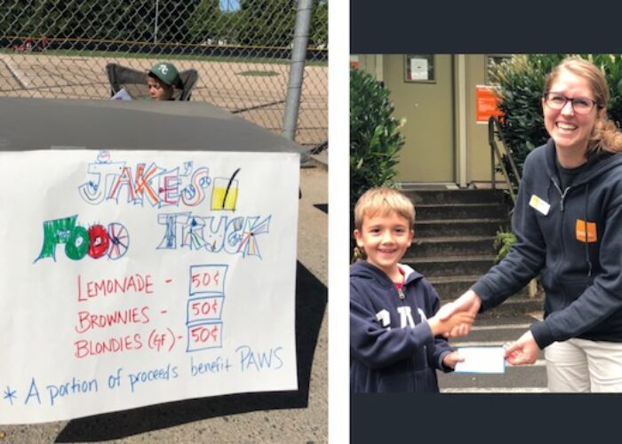 kid's lemonade stand to raise money for animal shelter