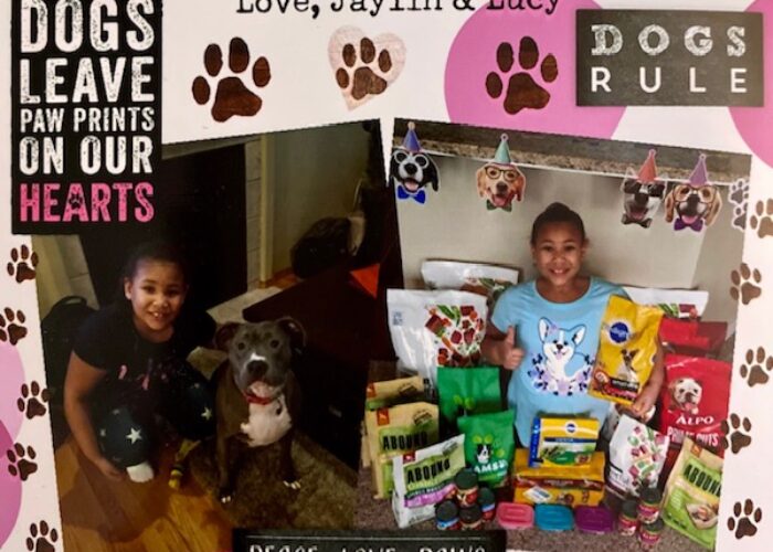 Jaylin's Birthday Project collecting food donations for the animal shelter