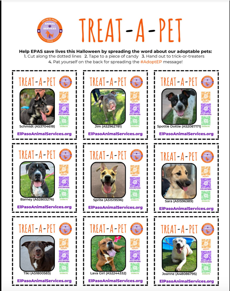 El Paso animal shelter treat a pet project to promote adoptable pets
