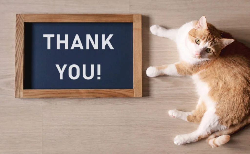 Thank you!