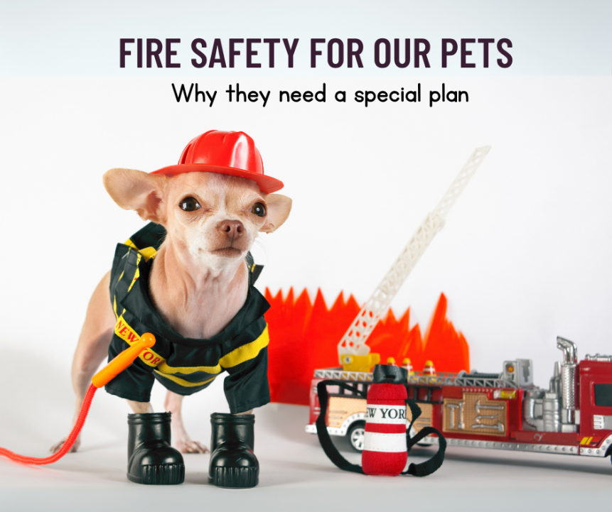 Fire Safety Blog