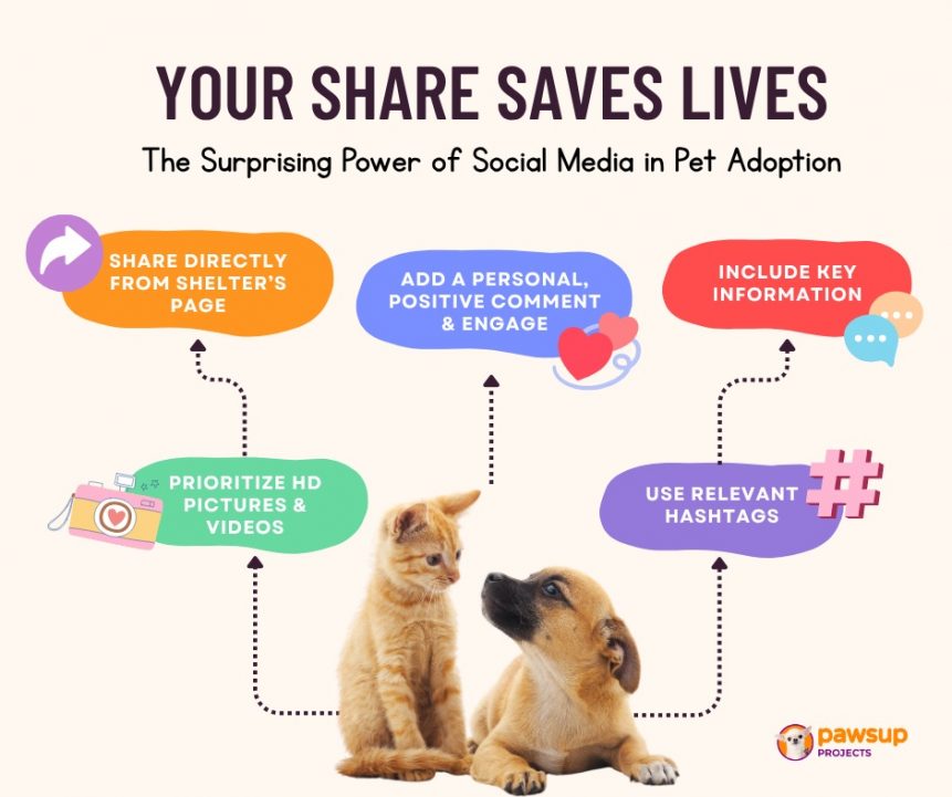 How You Can Share Effectively (and Make a Bigger Impact): - 1