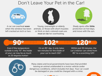 Don't leave your pet in the car